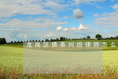 龙岗区债务纠纷律师怎么委托 龙岗区债务纠纷律师怎么委托