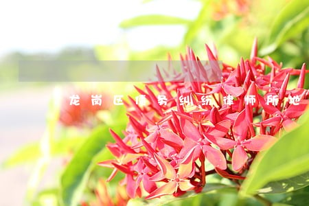 龙岗区债务纠纷律师所地址 龙岗区债务纠纷律师所地址
