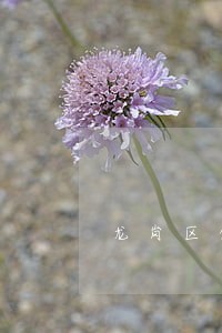 龙岗区债权债务律师 龙岗区债权债务律师