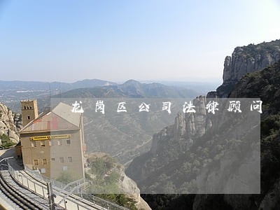 龙岗区公司法律顾问 龙岗区公司法律顾问