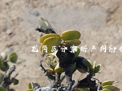 龙岗区分家析产纠纷律师事务所