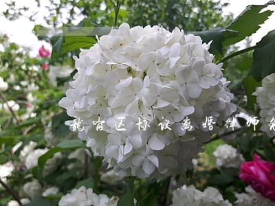 龙岗区协议离婚律师免费咨询 龙岗区协议离婚律师免费咨询