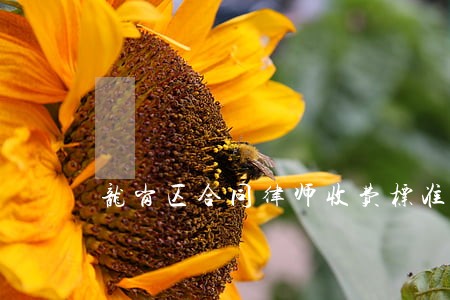 龙岗区合同律师收费标准 龙岗区合同律师收费标准