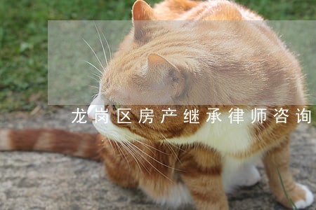 龙岗区房产继承律师咨询 龙岗区房产继承律师咨询
