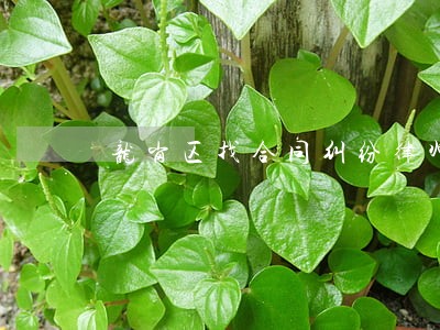 龙岗区找合同纠纷律师 龙岗区找合同纠纷律师