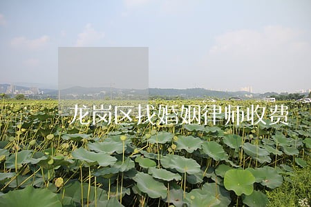 龙岗区找婚姻律师收费 龙岗区找婚姻律师收费