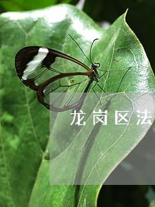 龙岗区法律顾问立即咨询 龙岗区法律顾问立即咨询