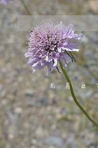 龙岗区离婚债务律师哪家强 龙岗区离婚债务律师哪家强
