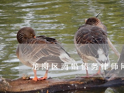 龙岗区离婚债务律师网 龙岗区离婚债务律师网
