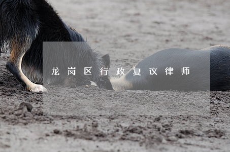 龙岗区行政复议律师 龙岗区行政复议律师
