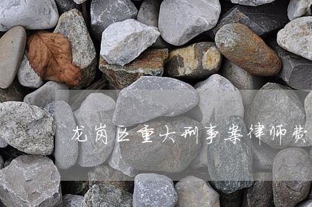 龙岗区重大刑事案律师费用咨询 龙岗区重大刑事案律师费用咨询