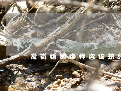 龙岗婚姻律师咨询热线 龙岗婚姻律师咨询热线