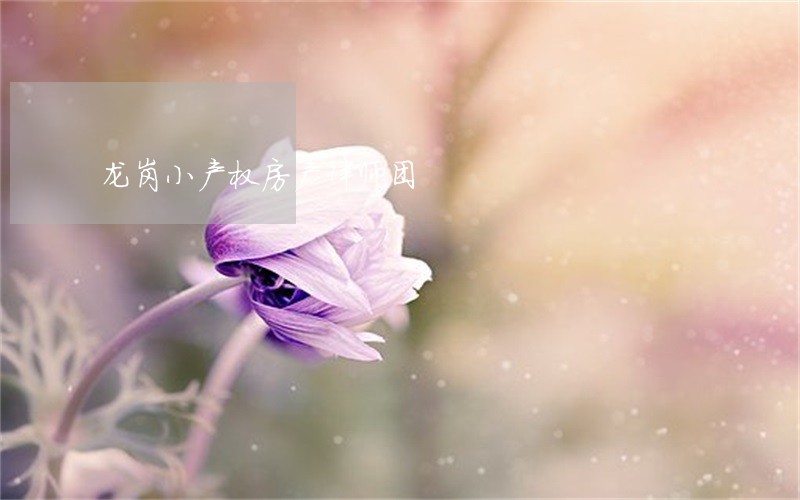 龙岗小产权房产律师团 龙岗小产权房产律师团