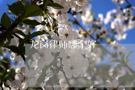 龙岗律师哪个好 龙岗律师哪个好