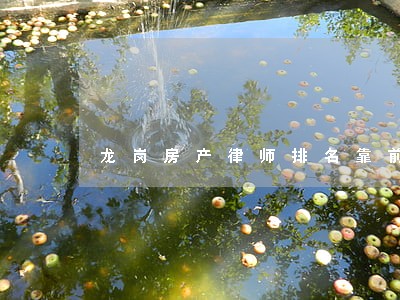 龙岗房产律师排名靠前 龙岗房产律师排名靠前