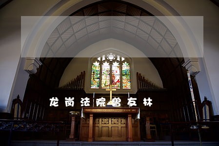 龙岗法院曾友林 龙岗法院曾友林