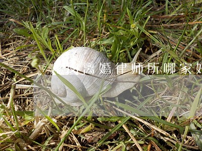 龙岗离婚律师所哪家好 龙岗离婚律师所哪家好