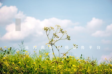 龙岗离婚律师服务平台 龙岗离婚律师服务平台