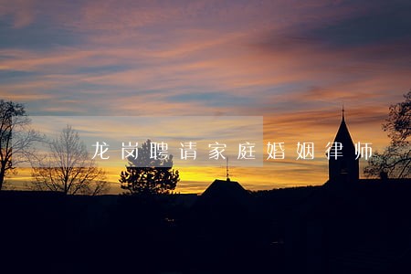 龙岗聘请家庭婚姻律师 龙岗聘请家庭婚姻律师