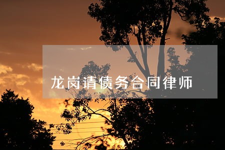 龙岗请债务合同律师 龙岗请债务合同律师
