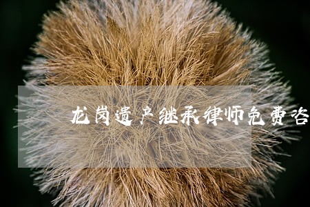 龙岗遗产继承律师免费咨询 龙岗遗产继承律师免费咨询