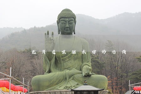 龙岗遗嘱继承律师咨询