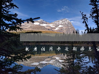 龙岩信用卡逾期停息分期怎么协商 龙岩信用卡逾期停息分期怎么协商