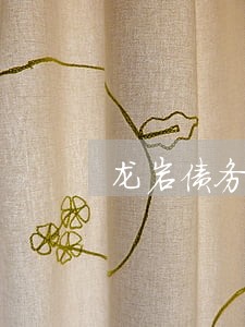 龙岩债务债权律师咨询