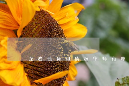 龙岩债务和债权律师有哪些 龙岩债务和债权律师有哪些