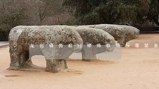 龙岩债务追讨律师收费标准是多少 龙岩债务追讨律师收费标准是多少