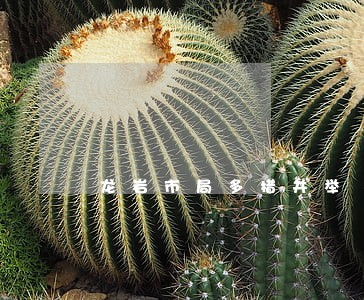 龙岩市局多措并举 龙岩市局多措并举