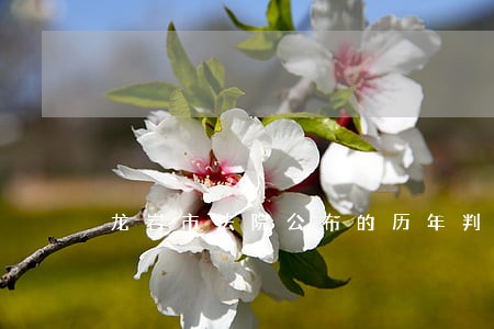 龙岩市法院公布的历年判决书