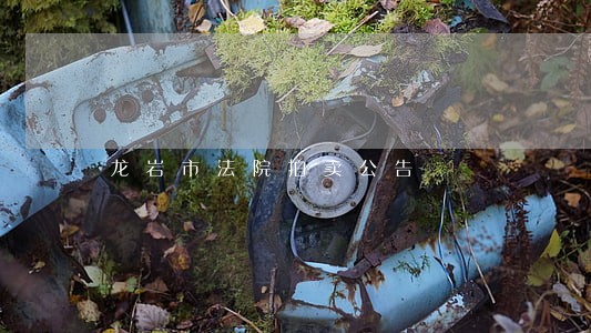 龙岩市法院拍卖公告