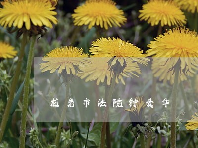 龙岩市法院钟爱华 龙岩市法院钟爱华