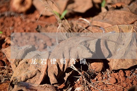 龙岩律师咨询 龙岩律师咨询