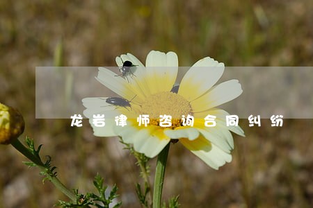 龙岩律师咨询合同纠纷 龙岩律师咨询合同纠纷