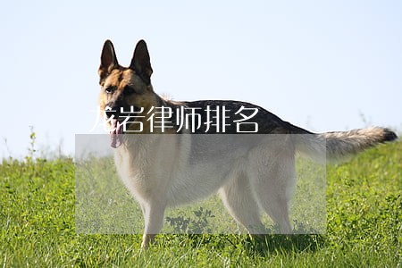 龙岩律师排名 龙岩律师排名
