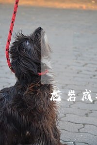 龙岩成都法律咨询位置 龙岩成都法律咨询位置