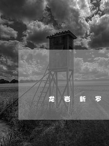 龙岩新罗法院地址