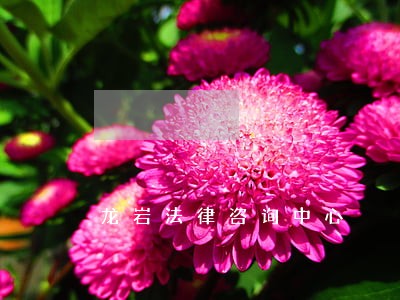 龙岩法律咨询中心 龙岩法律咨询中心