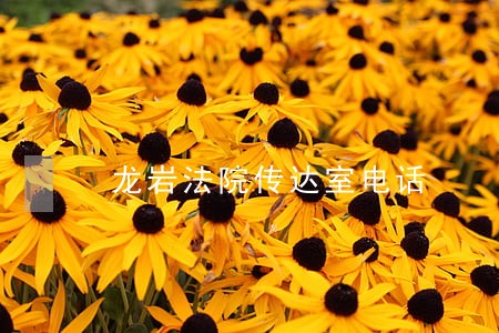 龙岩法院传达室电话