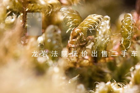 龙岩法院低价出售二手车 龙岩法院低价出售二手车