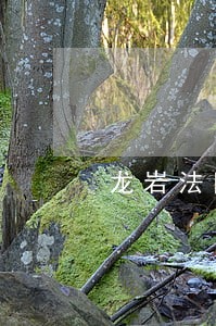 龙岩法院张惶忠 龙岩法院张惶忠