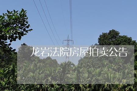 龙岩法院房屋拍卖公告 龙岩法院房屋拍卖公告