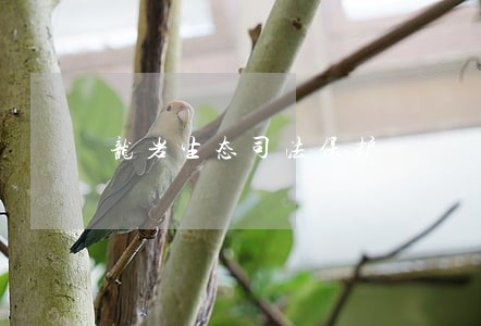 龙岩生态司法保护 龙岩生态司法保护