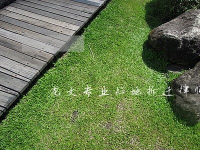 龙文专业征地拆迁律师 龙文专业征地拆迁律师