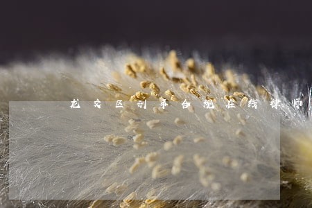 龙文区刑事合规在线律师 龙文区刑事合规在线律师