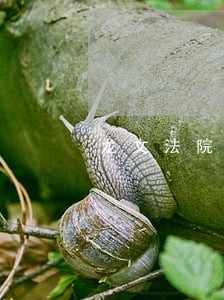 龙文法院立案庭阿彩