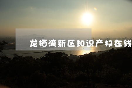 龙栖湾新区知识产权在线律师 龙栖湾新区知识产权在线律师