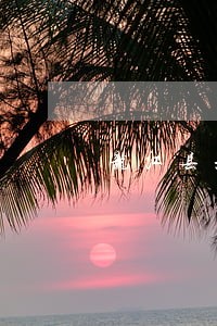 龙江县刑事律师咨询 龙江县刑事律师咨询